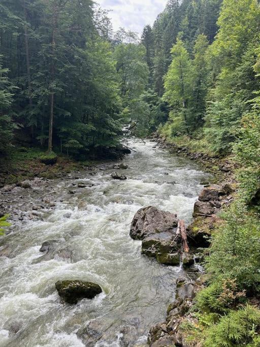 Allgaeu Mit Schwimmbad Und Sauna Apartment